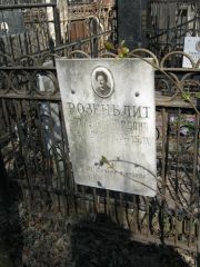 Розенблит Рахиль Юдовна, Москва, Востряковское кладбище