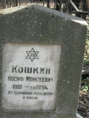 Кошкин Иосиф Моисеевич, Москва, Востряковское кладбище