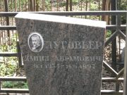 Луговьер Данил Абрамович, Москва, Востряковское кладбище