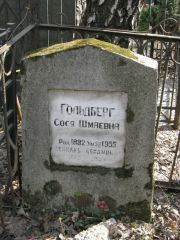 Гольдберг Сося Шмаевна, Москва, Востряковское кладбище