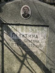 Левитина Фейга Юльевна, Москва, Востряковское кладбище