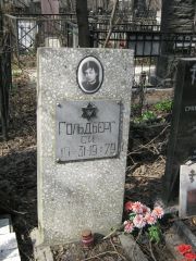 Гольдберг С. И., Москва, Востряковское кладбище