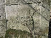 Чесвина Фейга Львовна, Москва, Востряковское кладбище