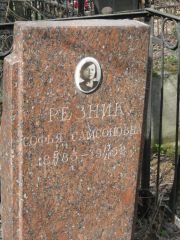 Резник Софья Самсоновна, Москва, Востряковское кладбище