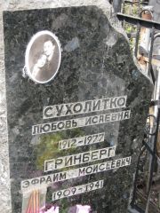 Гринберг Эфраим Моисеевич, Москва, Востряковское кладбище