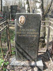 Анолис Михаил Яковлевич, Москва, Востряковское кладбище