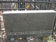 Фейгин Семен Наумович, Москва, Востряковское кладбище