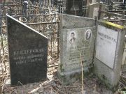 Гольдштейн Абрам Григорьевич, Москва, Востряковское кладбище