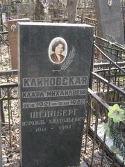 Шейнберг Израиль Анатольевич, Москва, Востряковское кладбище