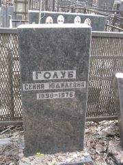 Голуб Сейна Юдилевна, Москва, Востряковское кладбище