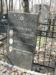Кагановский Исаак Моисеевич, Москва, Востряковское кладбище
