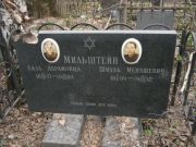 Мильштейн Лиза Абрамовна, Москва, Востряковское кладбище