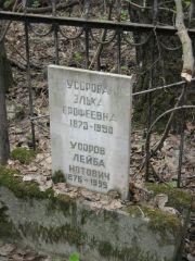 Усорова Элька Ерофеевна, Москва, Востряковское кладбище
