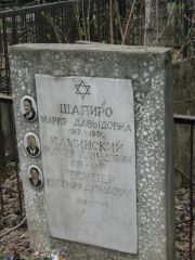 Шапиро Мария Давыдовна, Москва, Востряковское кладбище