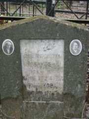 Рабинович Лиза Мироновна, Москва, Востряковское кладбище