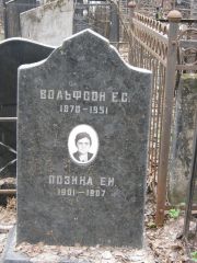 Вольфсон Е. С., Москва, Востряковское кладбище