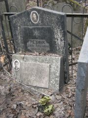 Резник Доба Ароновна, Москва, Востряковское кладбище