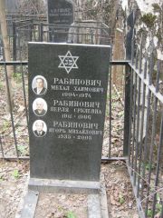Рабинович Перля Срулевна, Москва, Востряковское кладбище