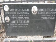 Мительман Елизавета Лазаревна, Москва, Востряковское кладбище