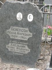 Бененсон Исаак Маркович, Москва, Востряковское кладбище
