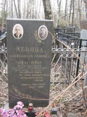 Левина Александра Львовна, Москва, Востряковское кладбище