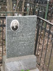 Беренсон Хая Израилевна, Москва, Востряковское кладбище