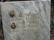 Цетлин Бейнус Еселевич, Москва, Востряковское кладбище