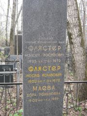 Флястер Моисей Иосифович, Москва, Востряковское кладбище