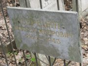 Березин Моисей Меерович, Москва, Востряковское кладбище