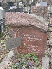 Туманский Семен Яковлевич, Москва, Востряковское кладбище