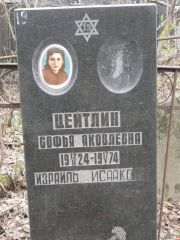 Цейтлин Софья Яковлевна, Москва, Востряковское кладбище
