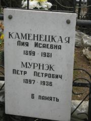 Каменецкая Лия Исаевна, Москва, Востряковское кладбище