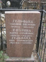 Гельфанд Соломон Евсеевич, Москва, Востряковское кладбище