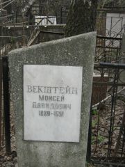 Векштейн Моисей Давидович, Москва, Востряковское кладбище
