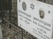 Шпичинецкий Яков Самойлович, Москва, Востряковское кладбище