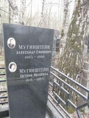 Мугинштейн Александр Ефимович, Москва, Востряковское кладбище