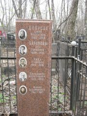Дворсон Цивя Иоселевна, Москва, Востряковское кладбище