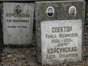 Корсунская Хася Сендеровна, Москва, Востряковское кладбище