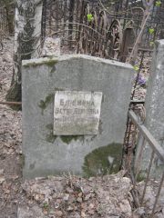 Блюмина Эстер Берковна, Москва, Востряковское кладбище