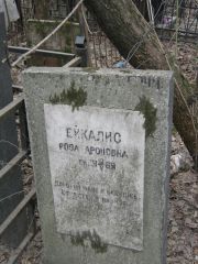 ?ейкалис Роза Ароновна, Москва, Востряковское кладбище