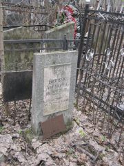 Виршик Лея Шаевна, Москва, Востряковское кладбище