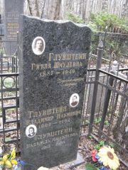 Глувштейн Гитля Шмулевна, Москва, Востряковское кладбище