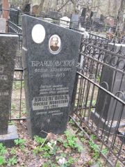 Браиловский Федор Абрамович, Москва, Востряковское кладбище