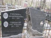 Гинзбург Анна Моисеевна, Москва, Востряковское кладбище