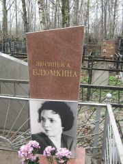 Блюмкина Люсинька , Москва, Востряковское кладбище