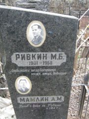 Ривкин М. Б., Москва, Востряковское кладбище