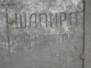 Шапиро Марк Исаакович, Москва, Востряковское кладбище