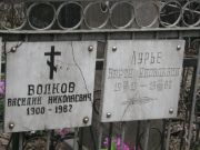 Волков Василий Николаевич, Москва, Востряковское кладбище