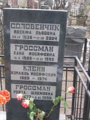 Клейн Израиль Иосифович, Москва, Востряковское кладбище