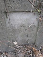 Сродецкий Давид Маркович, Москва, Востряковское кладбище